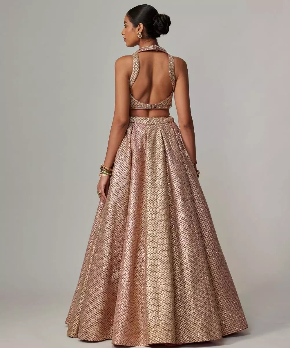 VVANI VATS - Deep beige multicolor Skirt with Crop Top